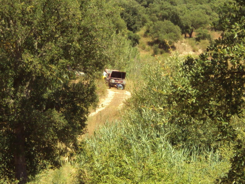 DSC03149