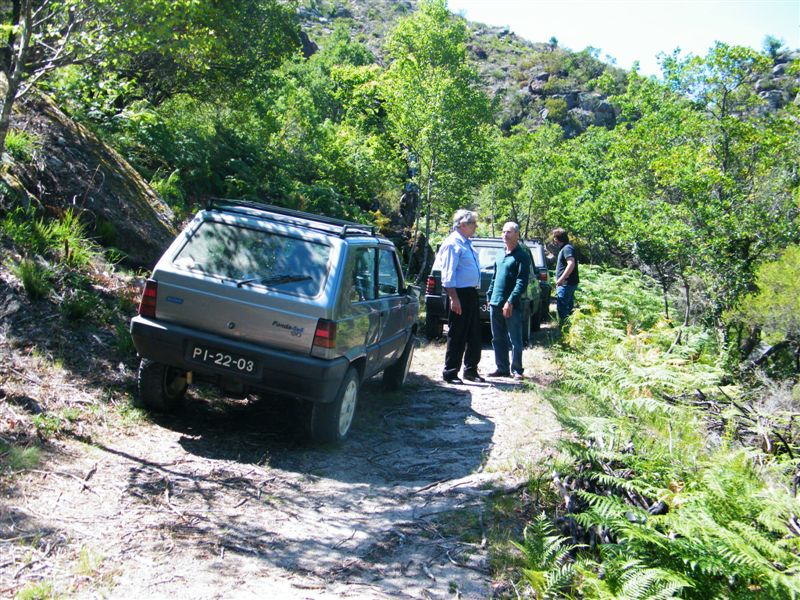 Nuno e Julia (314)