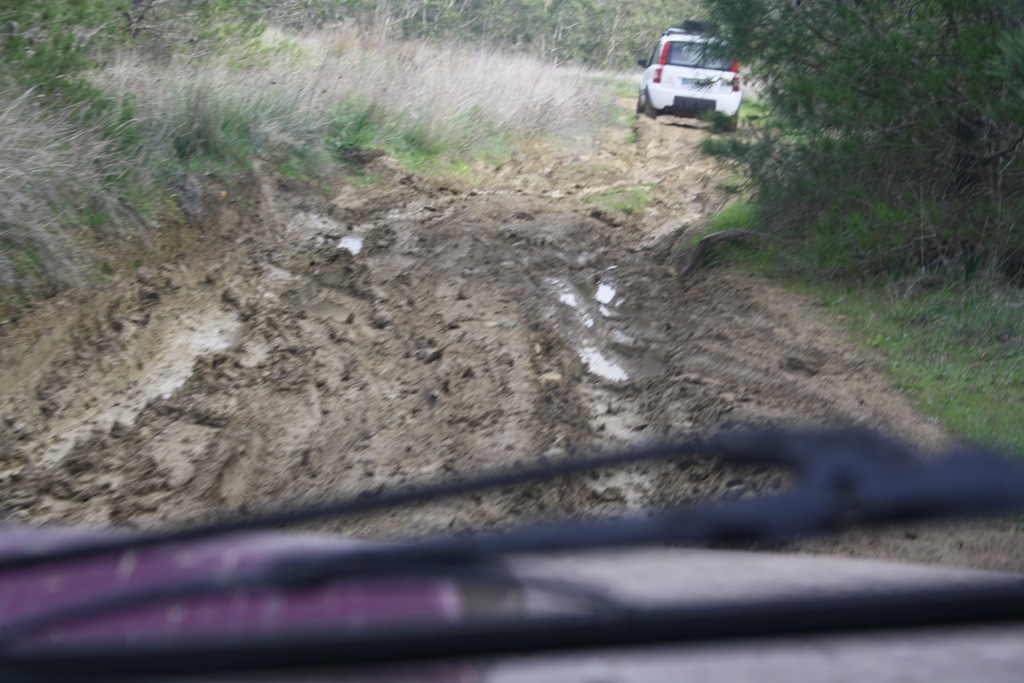 CPP AlmoçoNatal2011 139.jpg