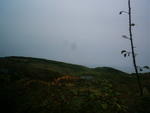 encontro_0004.jpg