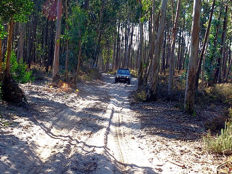 Hugo.Panda4x4 (31)