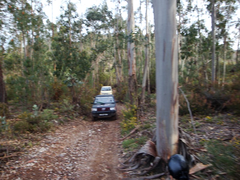 bmps2003VII (247).JPG