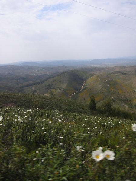 IMG_2558.jpg