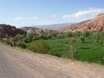 DSCN0082