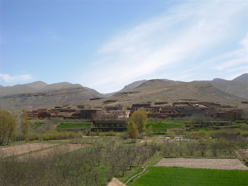 DSCN0141