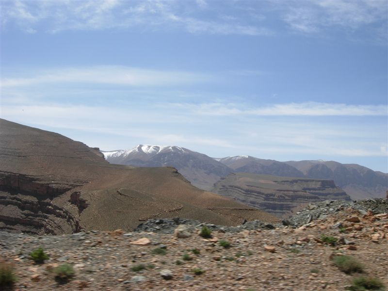 DSCN0151