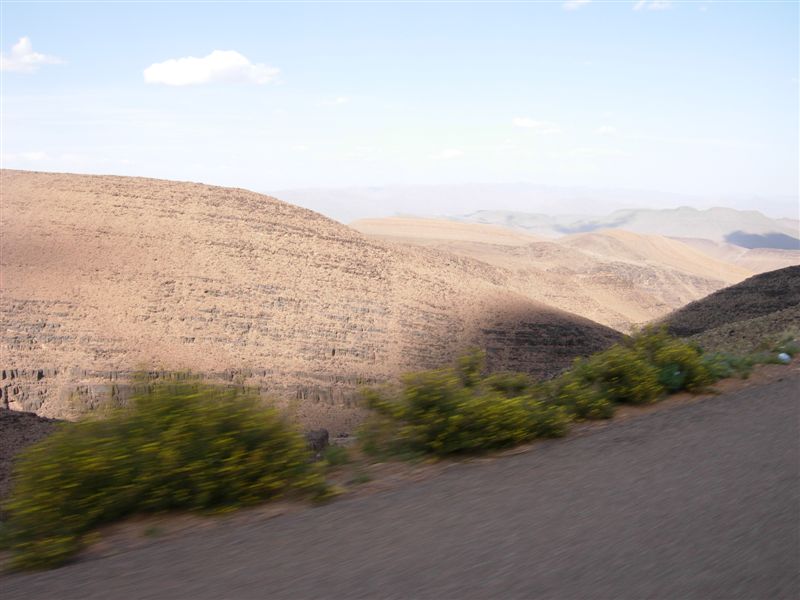 DSCN0263