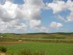 SANY0052.JPG