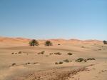 Marrocos2 539