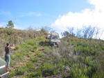 IMG_3287.jpg