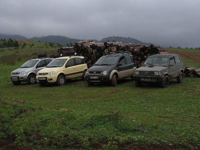 P1010400.jpg
