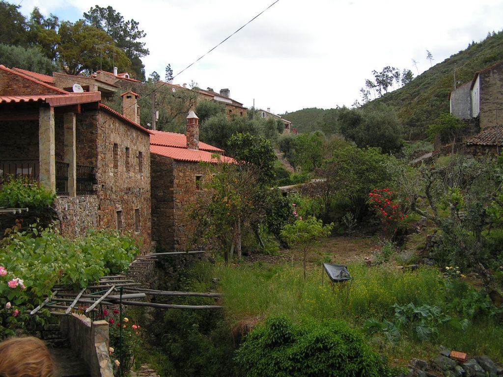 PICT2561.JPG