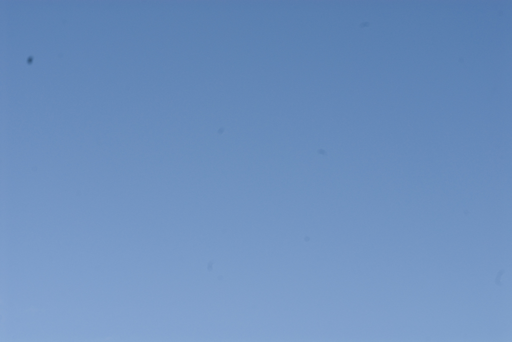 13428-20100906