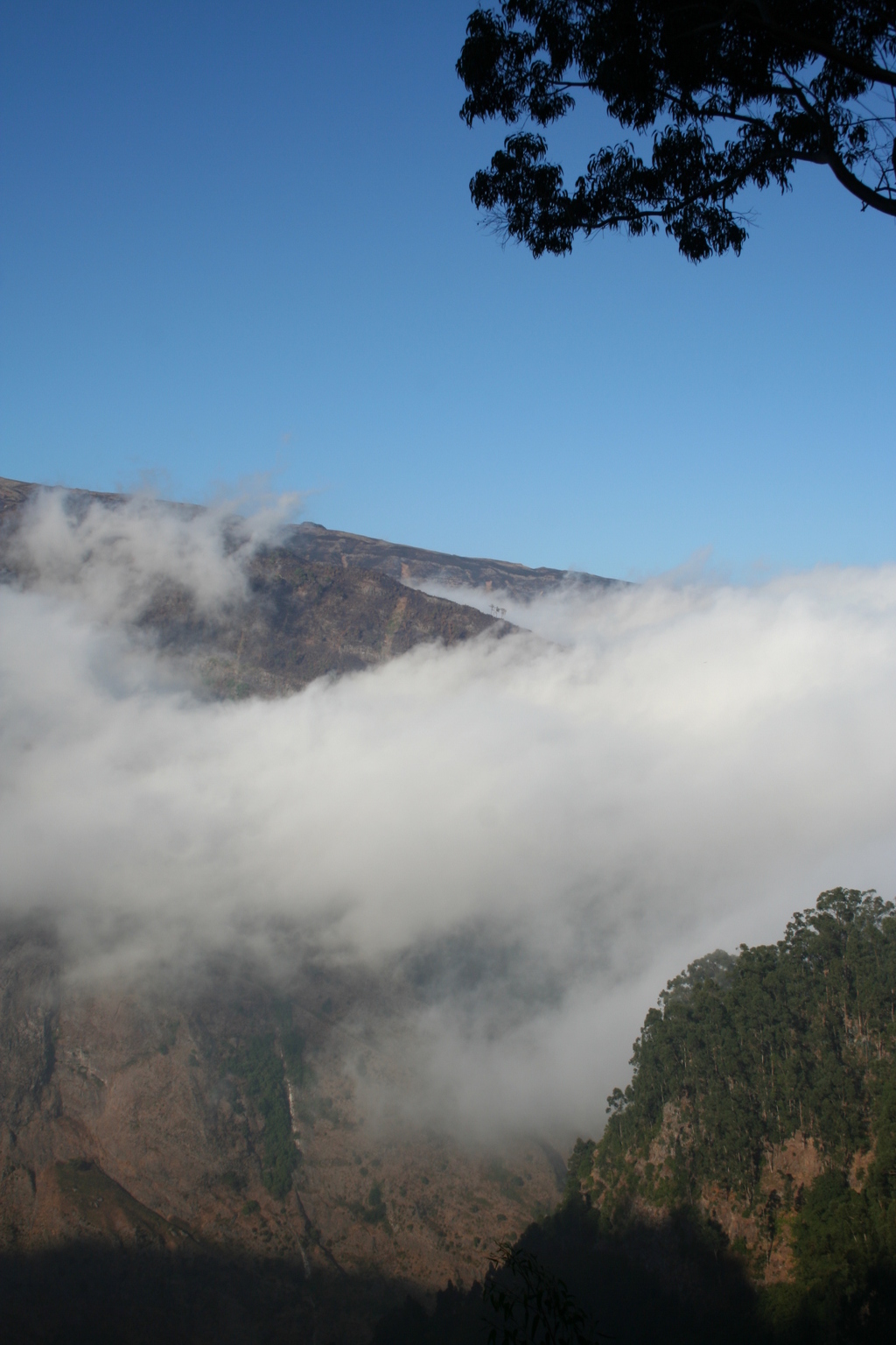 IMG_8339.JPG