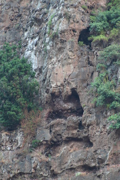 IMG_8460.JPG