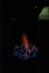DSC_0685.JPG