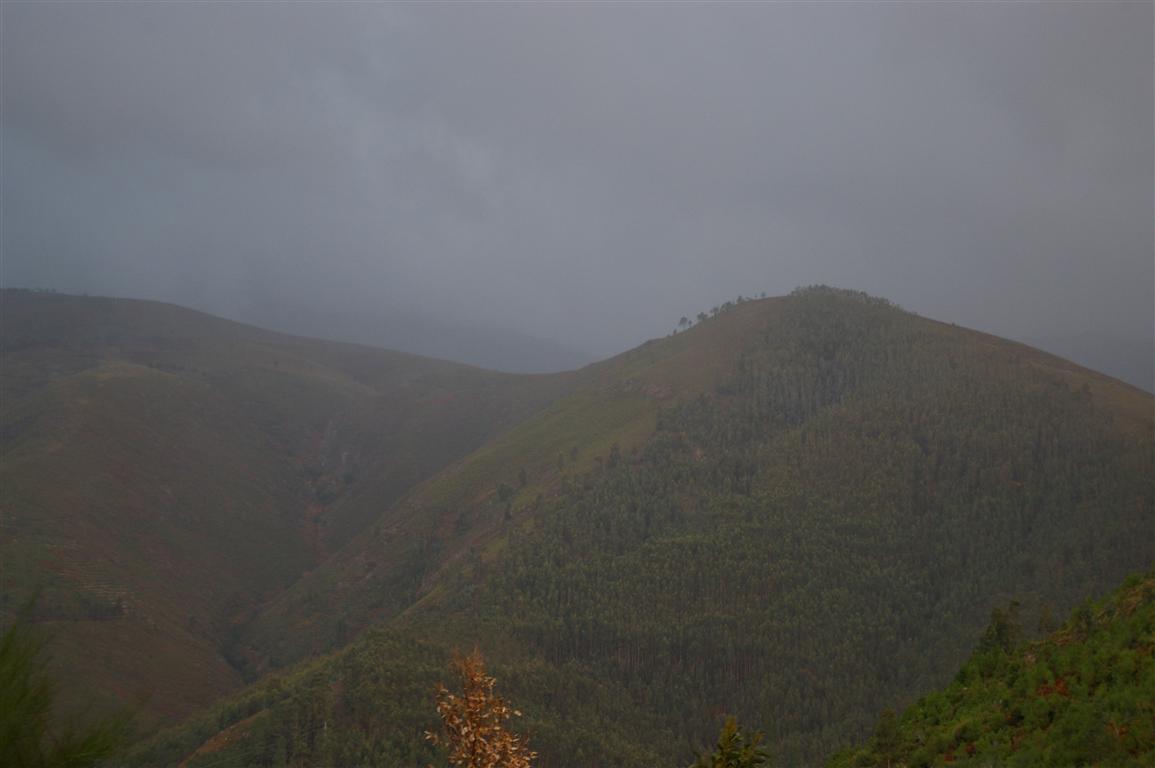 IMGP2648 (Medium).JPG